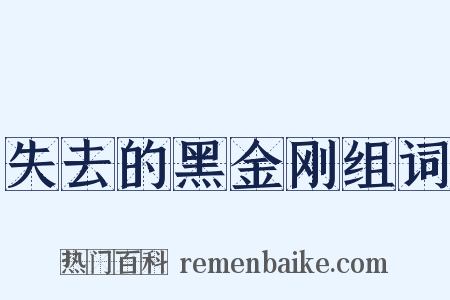 失去的黑金刚组词是什么意思的图片